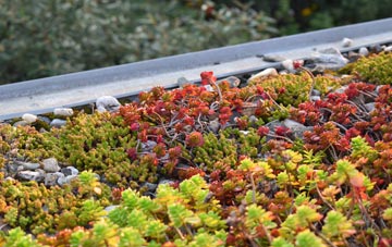 the cost of Shipton Gorge green roof installation