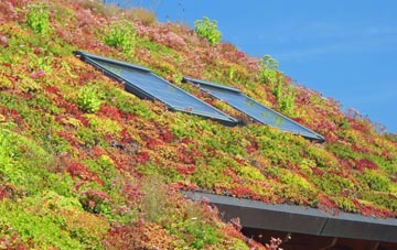 Shipton Gorge living roof systems