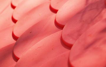 Shipton Gorge plastic roof costs