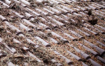 Shipton Gorge roof cleaning companies