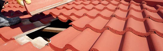 compare Shipton Gorge roof repair quotes