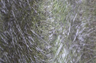 Shipton Gorge fibreglass roof work